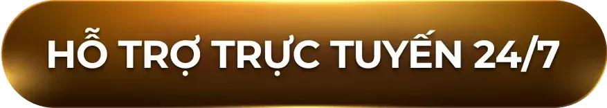 Hỗ trợ trực tuyến 24/7